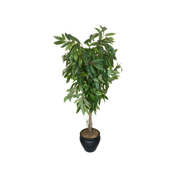 Saksılı Yapay Mango Ağacı