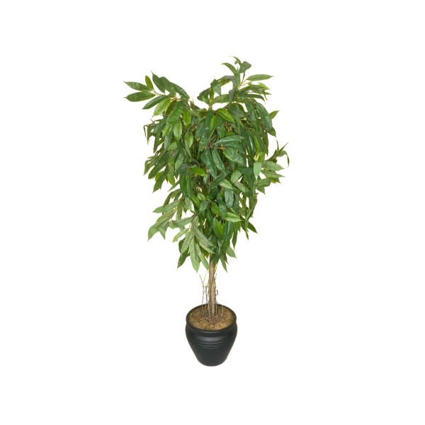 Saksılı Yapay Mango Ağacı - Görsel 2