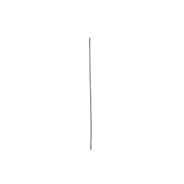 Bambu Çeşitleri - Görsel 3