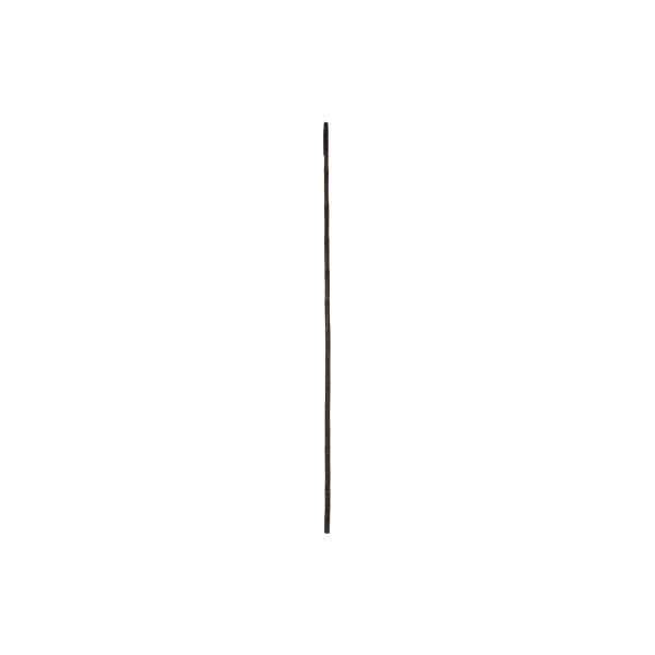 Bambu Çeşitleri - Görsel 4