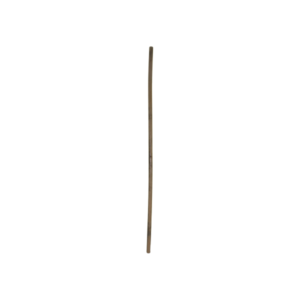Bambu Çeşitleri - Görsel 5