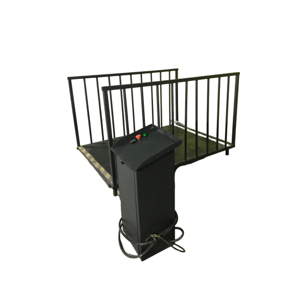 Engelli Asansörü 87x110x152